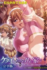 20vJEIdU45QCAG6gVJsE1QjnEd1